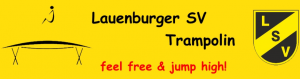 Lauenburger_SV_Banner